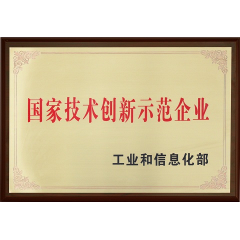 國(guó)家技術(shù)創(chuàng)新示范企業(yè)